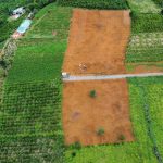  1000m2 - 3