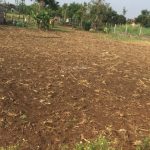  3300m2 - 5