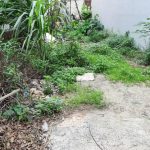  50m2 - 1