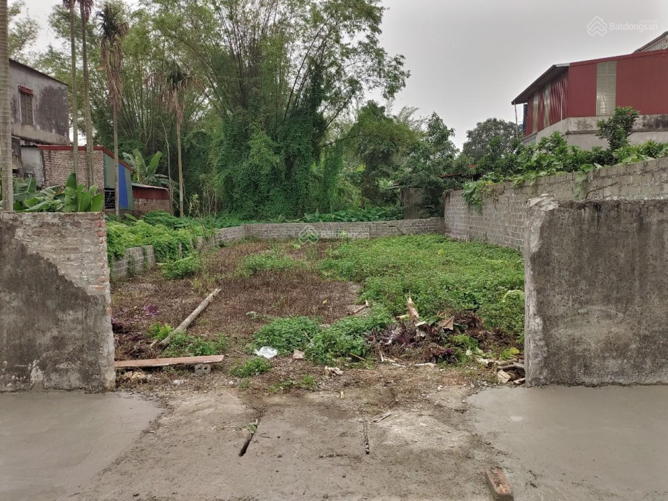 Bán đất Hoa Đường, Trường Thịnh, Ứng Hòa, DT 178m2, MT 9.5m, 2.5 tỷ