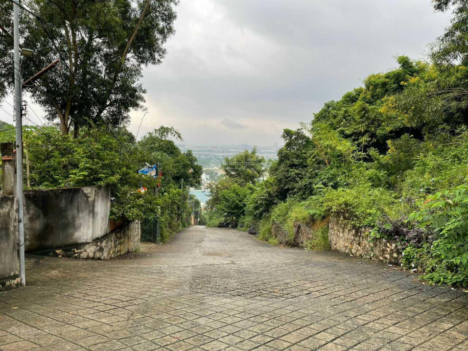 Bán đất trên núi, hẻm đường Trần Xuân Độ, TPVT