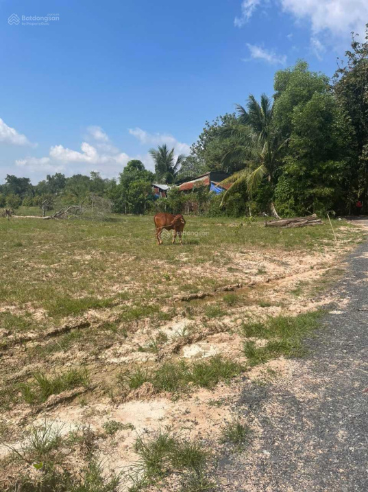 Bán gấp 125m2 đất xã Ninh Điền, Tây Ninh giá 490 triệu MT 5 mét KDC đông đúc