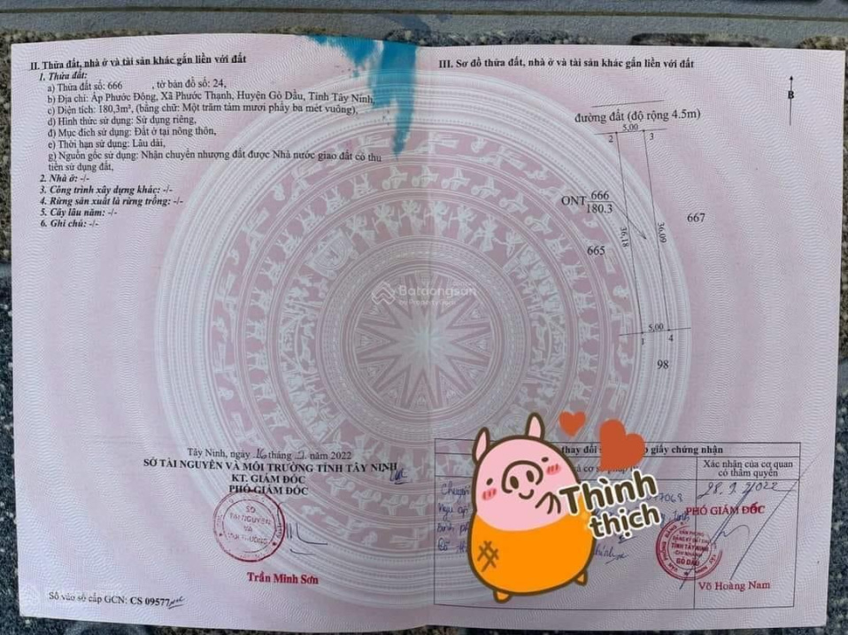 Bán lô đất 234m2 full thổ giá 1 tỷ 1, MT đường Nông Trường, xã Phước Thạnh, Gò Dầu, Tây Ninh