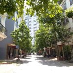  50m2 - 4
