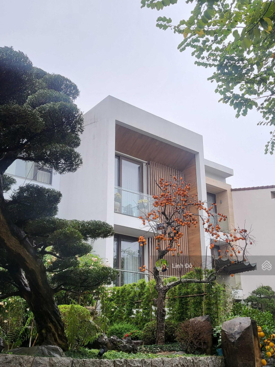 Bán nhà mặt phố view Hồ Tây - viên ngọc quý độc tôn MT 21m, DT 240m2, tăng giá vô hạn, giá 83 tỷ