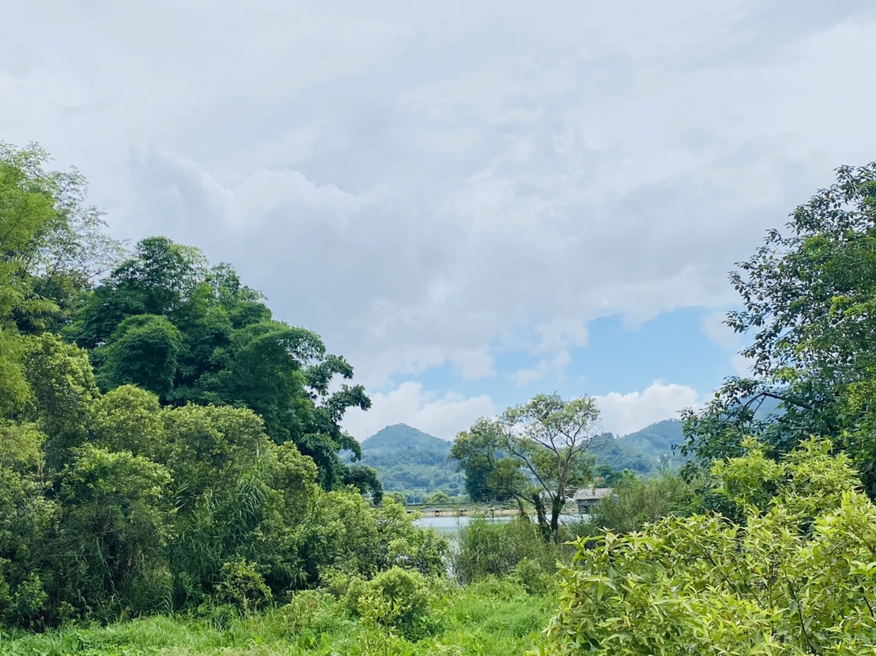 Hơn 1100m có thổ cư bám đường lớn, cách hồ xóm riêng chỉ 50m.