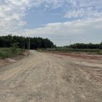  1000m2 - 1