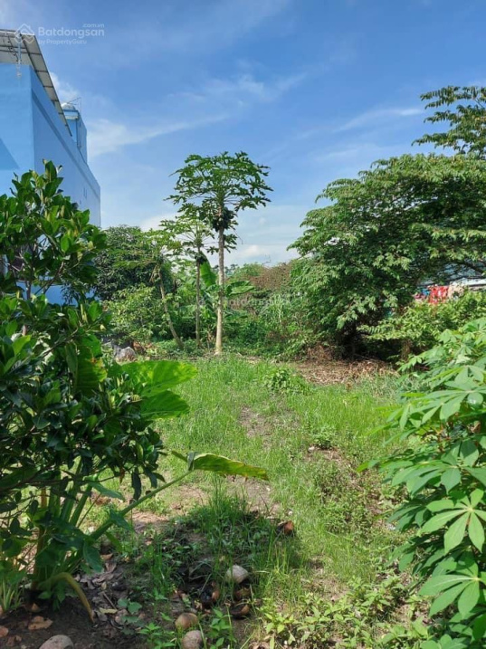 Cần bán gấp lô đất đường Nguyễn Trung Trực, Mỹ Phong, TP. Mỹ Tho, Tiền Giang. 120m2/750tr, SHR