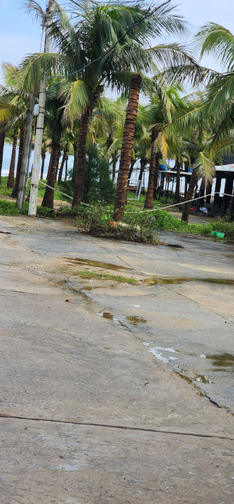 Cần tiền bán lô đất cây lâu năm mặt tiền bãi tắm đô thị Bình Minh. Đối diện Resort Bliss Nam Hội An