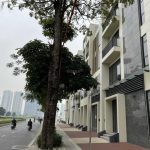  200m2 - 6