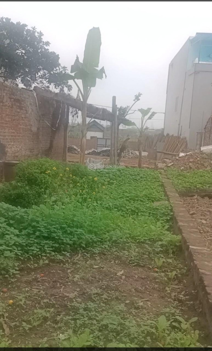 Chính chủ cần bán 52m2 mảnh thổ cư Vân Côn Hoài Đức Hà Nội,km 13 Đại Lộ Thăng Long