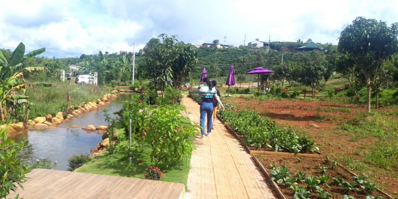 Chính chủ cần bán Lộc An, Bảo Lâm 153.9m2 - 760 triệu