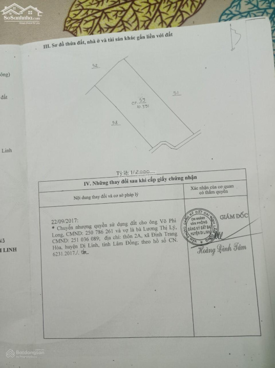 Chính chủ cần bán gấp lô đất full cà phê ngay Di Linh - Lâm Đồng
