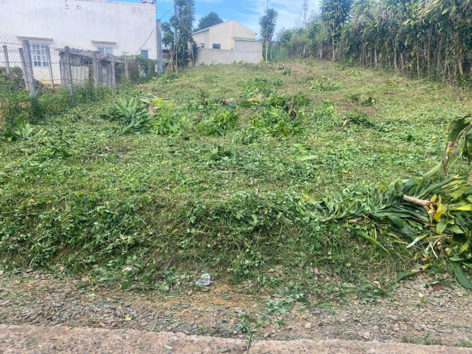 Chính chủ cần bán gấp lô đất giá đầu tư ngay TP Bảo Lộc - Lâm Đồng