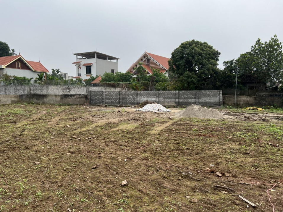 Chính chủ cần bán gấp mảnh đất Chương Dương Thường Tín. DT 800 m2 LH: 0988 954 989