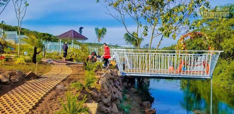 Chính chủ cần tiền bán gấp đất Lộc Quảng, Bảo Lâm có sổ, thổ cư view đồi núi giá rẻ LH 0969 949 999