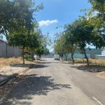  100m2 - 1