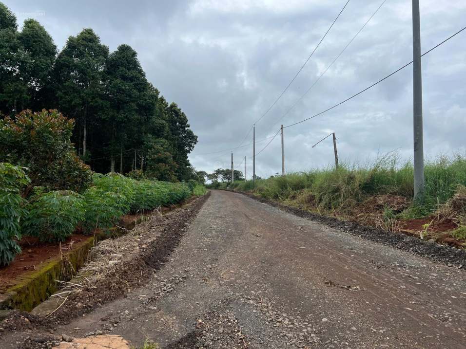 Chủ cắt lỗ cần bán lô đất xã Hoà Hưng 2MT đường, gần các homestay du lịch sinh thái hồ sông rây