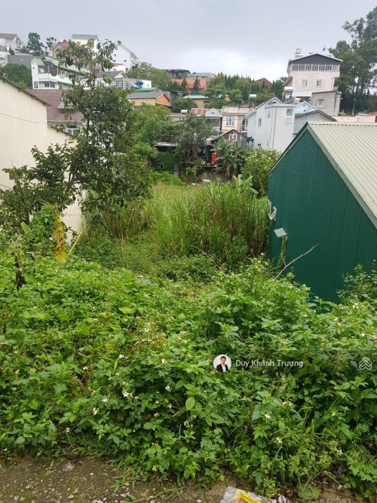 Chuyên đất xây biệt thự ở tại TT Đà Lạt - xây biệt thự hoặc căn hộ mini cho thuê, giá từ 5 - 9 tỷ