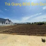  1000m2 - 1