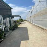  1000m2 - 5