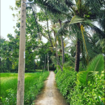  140m2 - 1