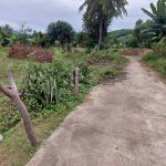  300m2 - 4