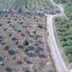  1100m2 - 3