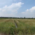  4000m2 - 3