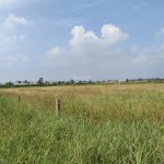  4000m2 - 4