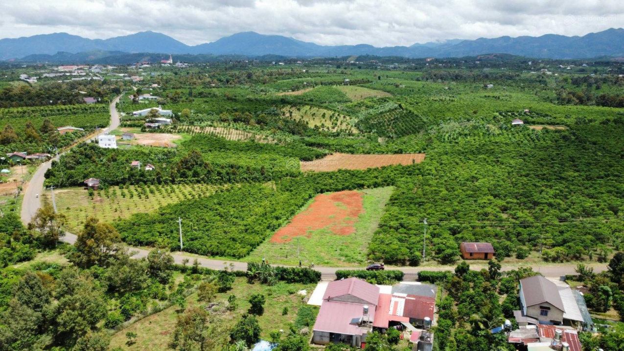 Đất dân Tân Lạc, Bảo Lâm 155m2 - 100m2 thổ -SHR