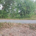  5000m2 - 1