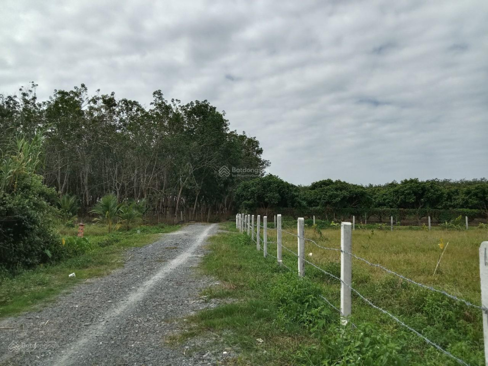 Đất nền Gò Dầu, Tây Ninh 5x30m TC SHR giá 490tr