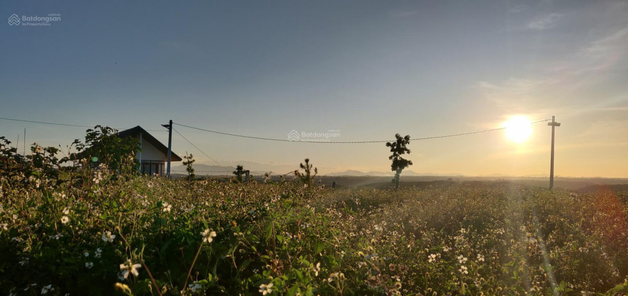 Đất nghỉ dưỡng chính chủ Lộc Ngãi diện tích 352m2 (lô 2 mặt tiền). Tặng lộc căn nhà gỗ 200 triệu