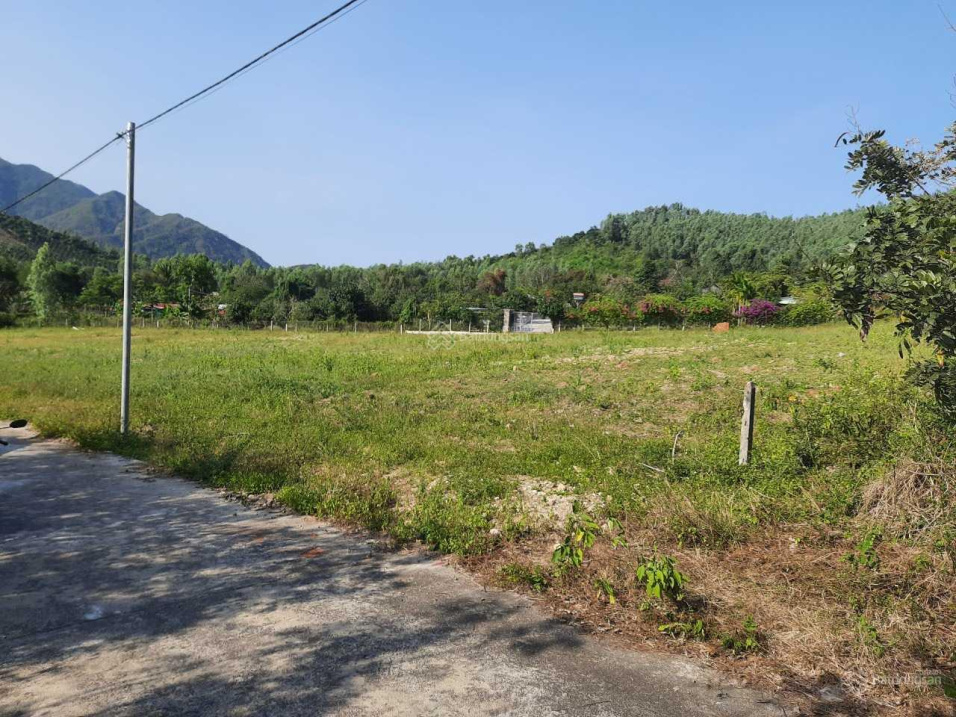 Đất nhà vườn 2 mặt tiền Phước Đồng sổ hồng