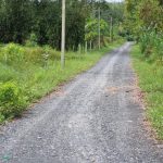  1000m2 - 6