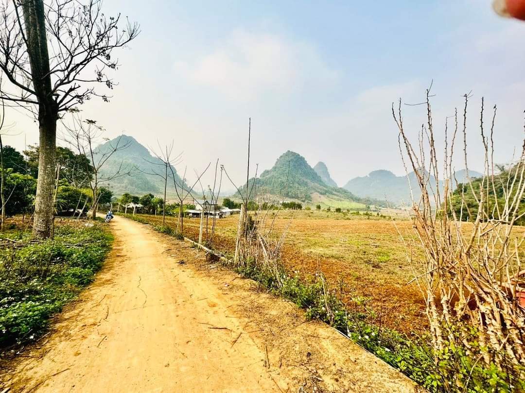 BÁN ĐẤT NGHỈ DƯỠNG GIÁ RẺ THANH KHOẢN TỐT