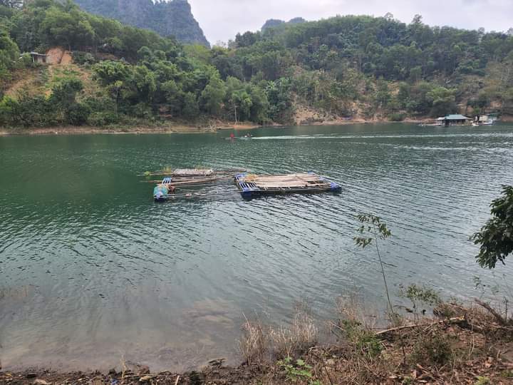 BÁN ĐẤT RỪNG SẢN XUẤT TẠI XÓM LANH CAO SƠN ĐA BẮC