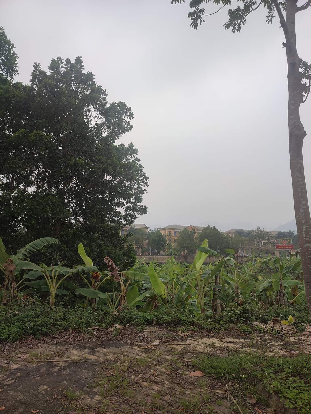 CẦN BÁN ĐẤT TẠI THỊNH LANG TP HOÀ BÌNH 162M2 GIÁ 1.3 TỶ