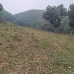  37700m2 - 3