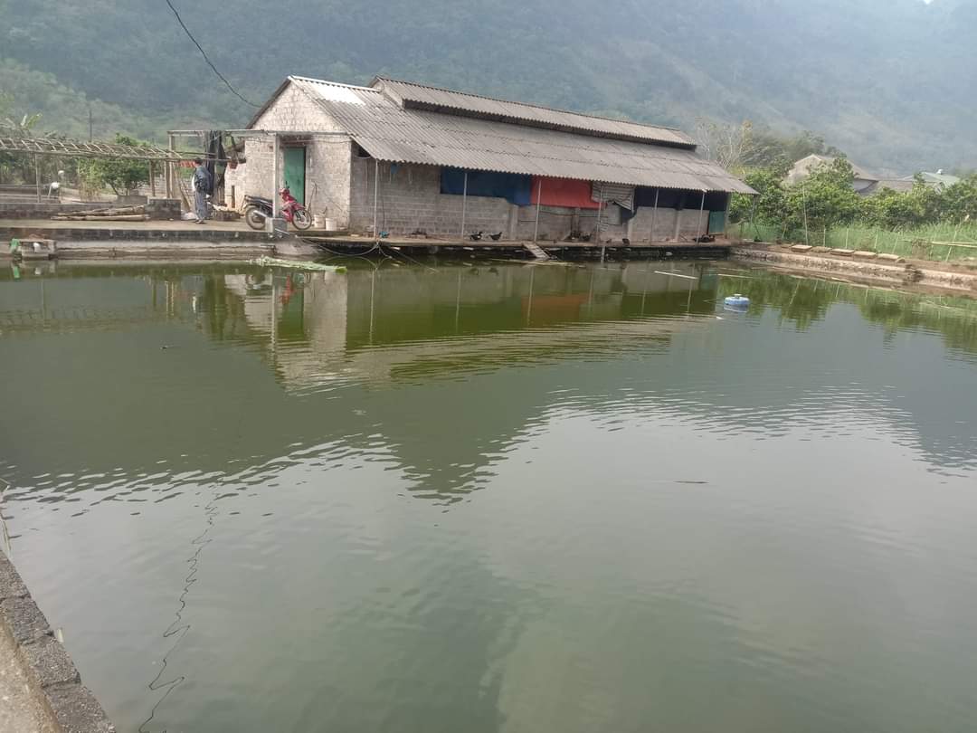 **BÁN LÔ ĐẤT TẠI ĐÀ BẮC THÍCH HỢP LÀM HOMESTAY NGHỈ DƯỠNG SIÊU THƠ MỘNG GIÁ CỰC RẺ**