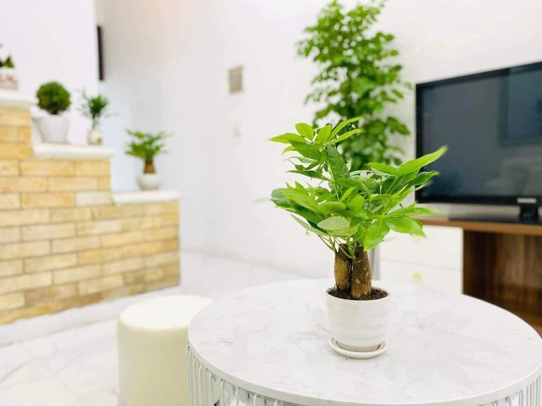 Bán nhà ngõ 19 Mai Động, quận Hoàng Mai 36m x 5 tầng. Giá chỉ 4 tỷ đồng.