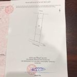  99m2 - 5