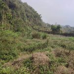  100000m2 - 5