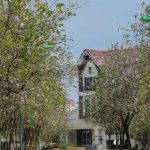  400m2 - 1