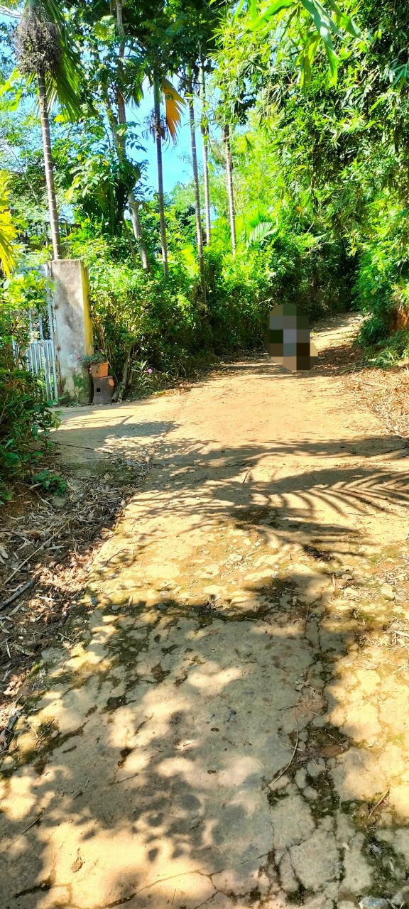 BÁN ĐẤT CAO PHÒNG NƠI TIỀM NĂNG HỘI TỤ SINH LỜI CHO NHƯNG NHÀ ĐẦU TƯ