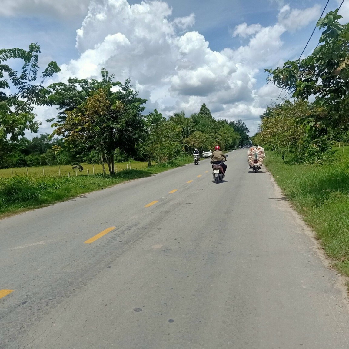 Cần bán gấp đất full thổ 100m2 tới 10000m2