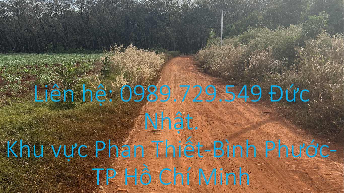 CẦN BÁN GẤP ĐẤT NỀN SHR KHU VỰC LỘC NINH - BÌNH PHƯỚC