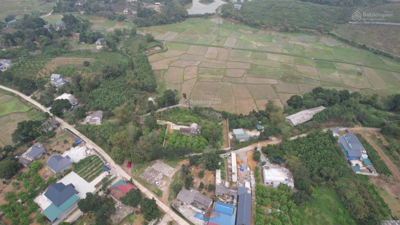 Bán lô đất có sẵn nhà, ao cá, vườn cây ăn quả ở Lương Sơn, Hòa Bình