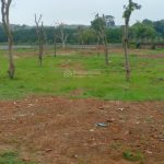  3500m2 - 1